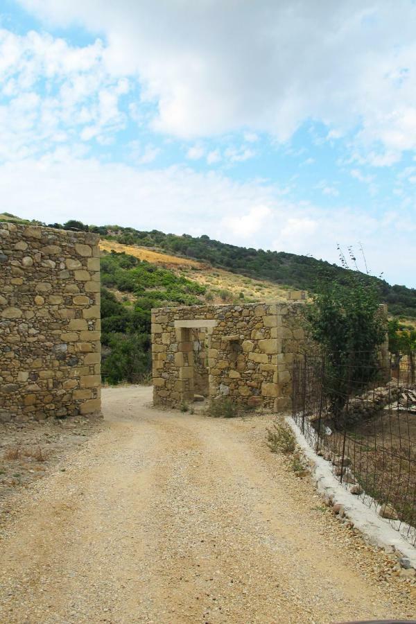 Petrakis Cretan Homes Kíssamos Eksteriør billede