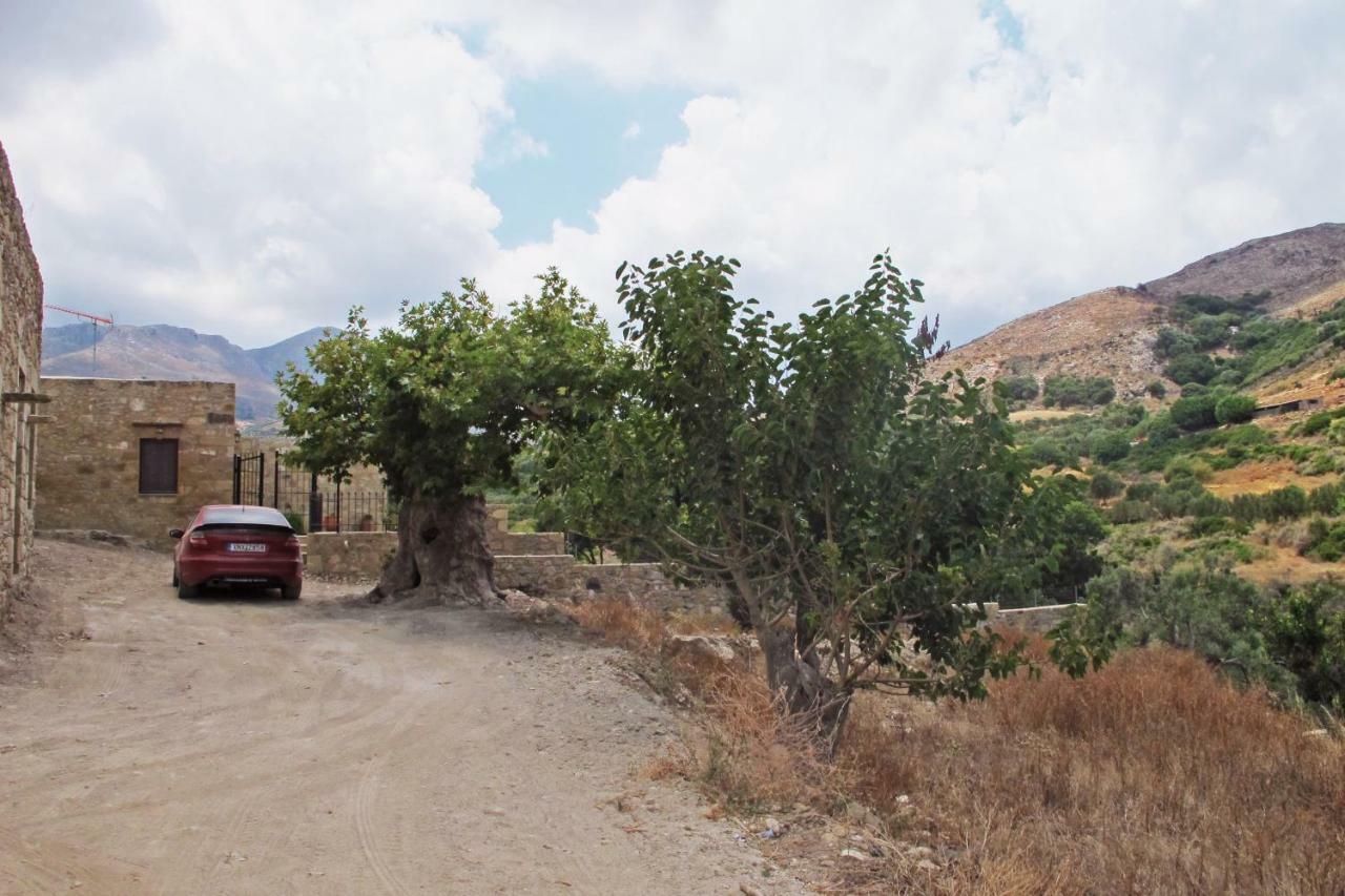 Petrakis Cretan Homes Kíssamos Eksteriør billede