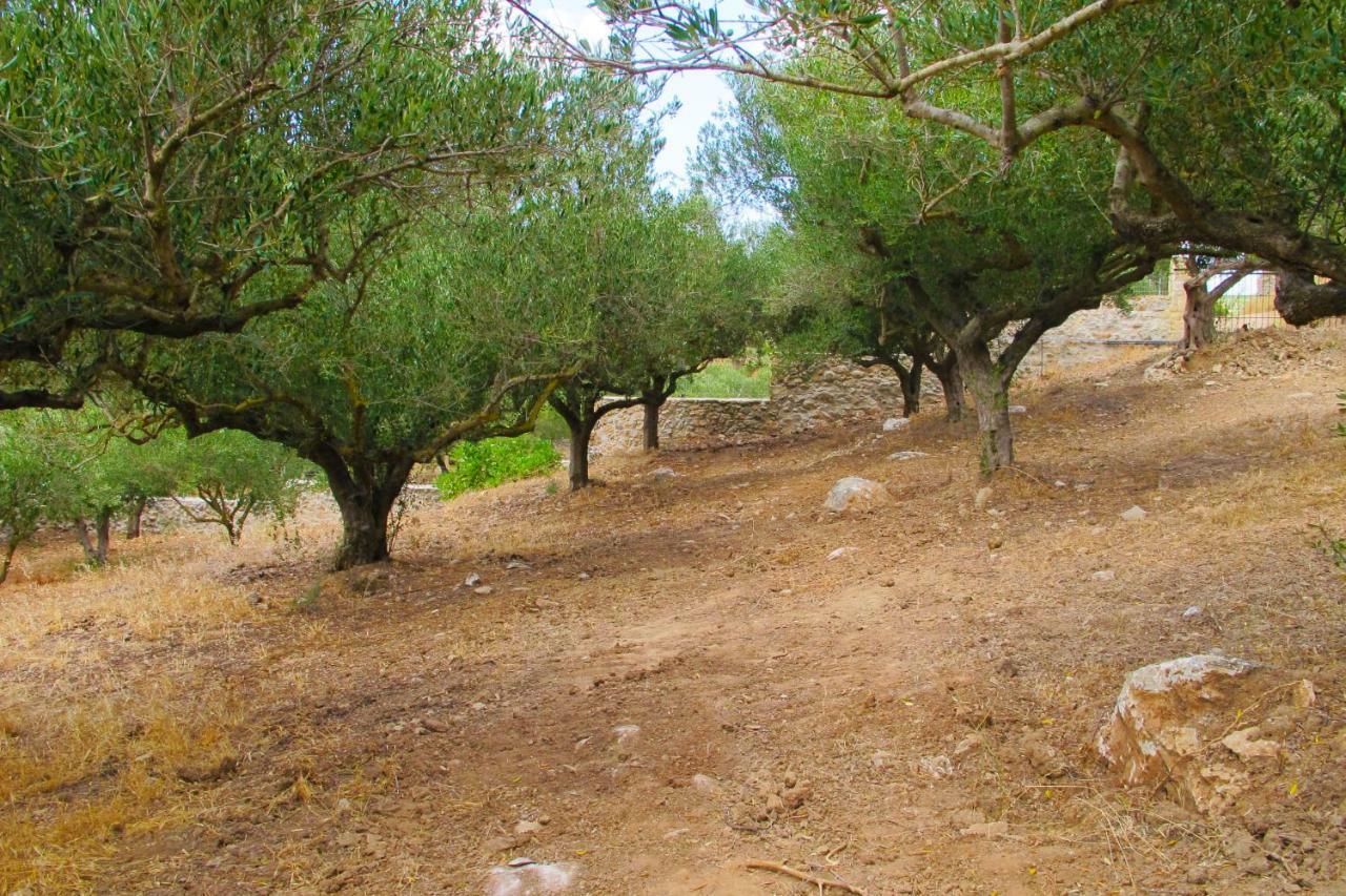 Petrakis Cretan Homes Kíssamos Eksteriør billede